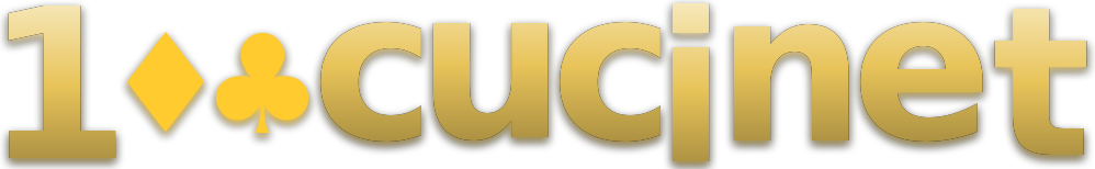 100cuci net logo